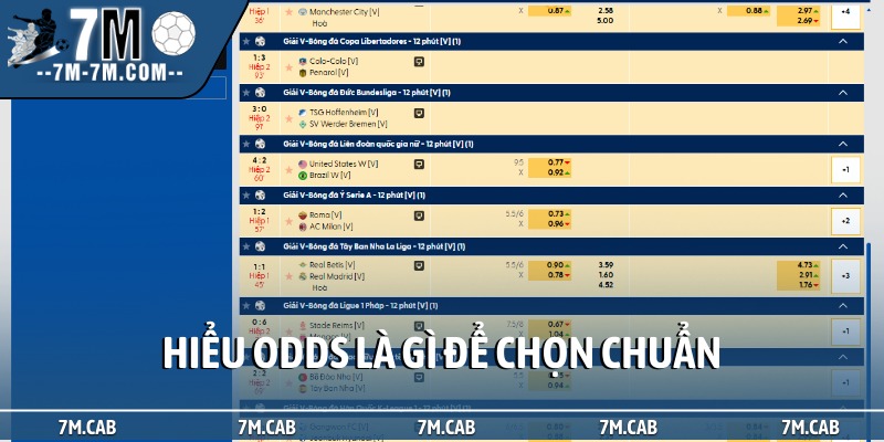 Hiểu odds là gì để chọn chuẩn